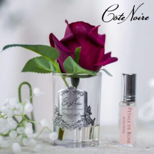 CÔTE NOIRE Rose Bud Clear Vase