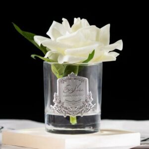 CÔTE NOIRE Single Rose Clear Vase